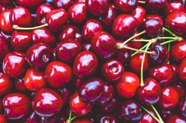 Kırmızı tatlı vererek gelen kiraz çok. Yaz hasat.