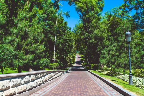 Breiter Weg mit Fliesen im Park. Sommerspaziergang. — Stockfoto