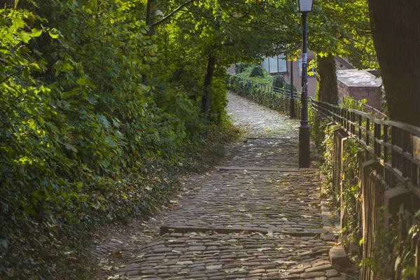 L'avenue avec des blocs de pierre et des marches dans le parc verdoyant. Des lampadaires. L'été. Promenade . — Photo