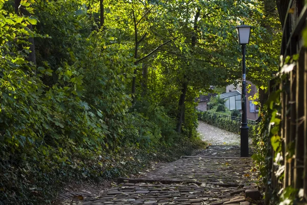 Die Allee mit Steinquadern und Stufen im grünen Park. Straßenlaternen. Sommerzeit. Spaziergang. — Stockfoto