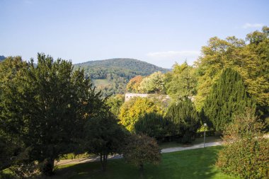 Rahat ve yeşil park Almanya yakınlarında tarihi yerler. Botanik. Dar güzergahları üzerinde yürüyüş için mükemmel bir yer. 