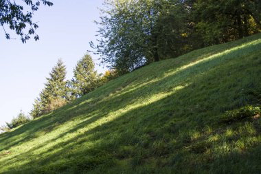 Rahat ve yeşil park Almanya yakınlarında tarihi yerler. Botanik. Dar güzergahları üzerinde yürüyüş için mükemmel bir yer. 