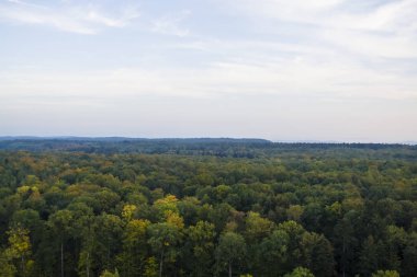 Üstten görünüm sonbahar ormanda. Güzel manzara. Almanya'da botanik bölge.