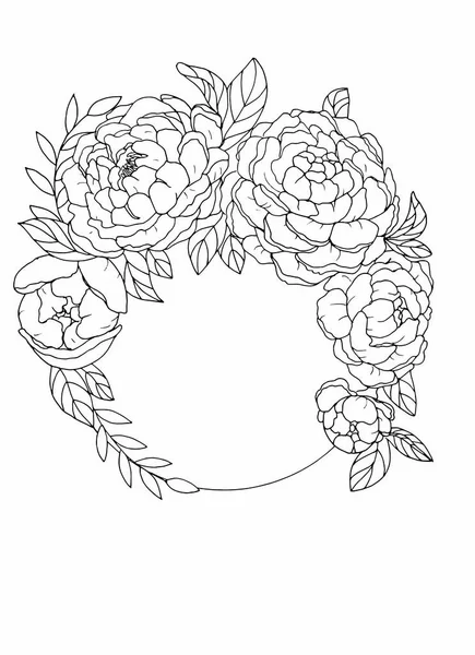 Buds of peonies around. Sketch. Illustration. Spring flowers. Black contour. White background.