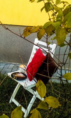 Beyaz fincan kahve pasta ve yastık ile bir sandalyeye. Natürmort. Kulübemde. Yaz. Dinç sabah. Kapuçino.