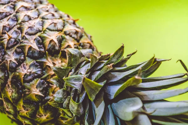 Verse hele ananas op een monofone groene achtergrond. Het patroon. Exotische. Gezonde voeding. Vitaminen. Fruit. Dieet. — Stockfoto