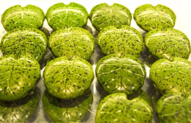 El yapımı yeşil şekerler monstera şeklinde yapraklar üzerinde gösterisi penceresinde Dükkanı. Lezzetli tatlılar. Süper Market, kafe. Alışılmadık biçim.