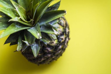 Yeşil parlak tek sesli arka plan. Tropikal meyve ananas. Yaz ve egzotik. Vitamin ve yararlı meyve. Gıda.