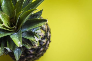 Yeşil parlak tek sesli arka plan. Tropikal meyve ananas. Yaz ve egzotik. Vitamin ve yararlı meyve. Gıda.