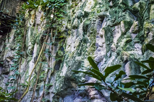 La roca de piedra en el bosque tropical con plantas verdes silvestres en la cálida tarde de verano. Naturaleza. Paisaje. Hermosa vista . — Foto de Stock