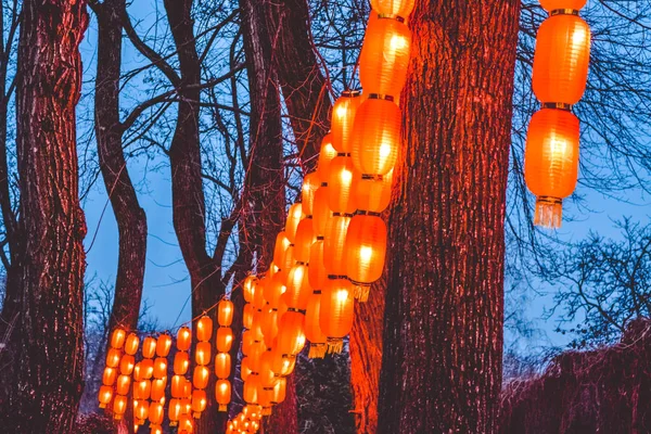 Tapes op bomen in het park van de Chinese oranje kleine lampen. De verlichte straat 's nachts. Verlichting. — Stockfoto