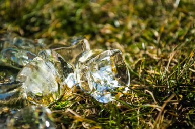 Yeşil bahar çimlere buz küpleri yalan. Güneş ışığı. Çayır. Çim. Arka plan veya doku.