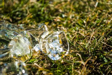 Yeşil bahar çimlere buz küpleri yalan. Güneş ışığı. Çayır. Çim. Arka plan veya doku.