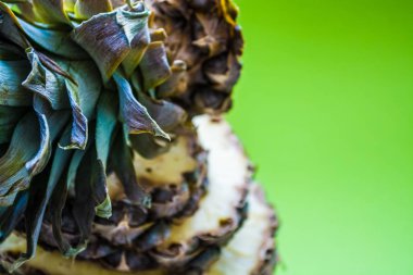 Taze ananas üzerinde yuvarlak parçalar kesin. Tropikal, egzotik meyve yeşil bir arka plan üzerinde. Yaz. Parlak renkler.