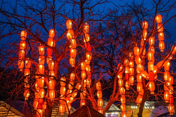 公園内の様々な明るい中国の小さなランプ。ガーランド。通りや家のための珍しい装飾。お祝いの気分 — ストック写真