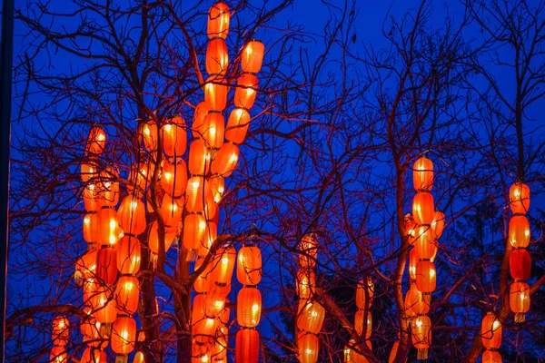 Varias lámparas pequeñas chinas brillantes en el parque. Garland. Una decoración inusual para las calles y la casa. Humor festivo — Foto de Stock