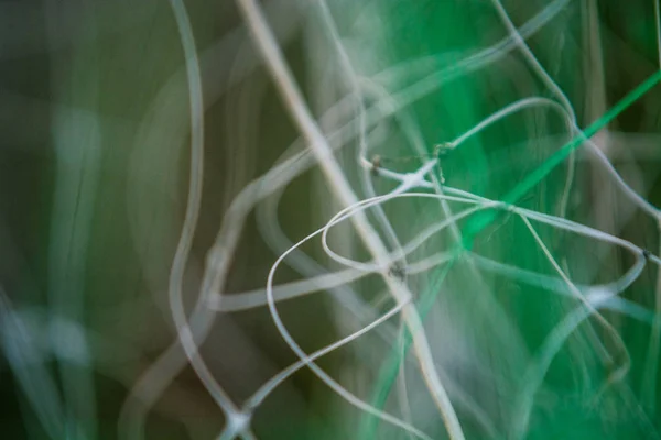 Abstrato fundo cinza-verde de plástico pró-lobos com o caótico, indistinto e desigual, linhas giradas com bokeh . — Fotografia de Stock