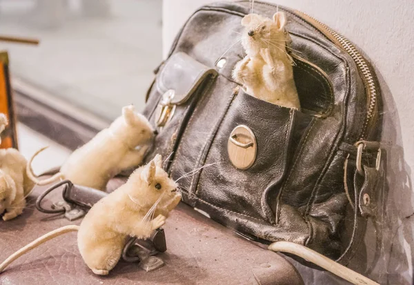 Oyuncaklar Sergisi. Viyana, Avusturya. 02.03.2019. Deri siyah bir çanta üzerinde birkaç fare şeklinde peluş oyuncaklar. — Stok fotoğraf