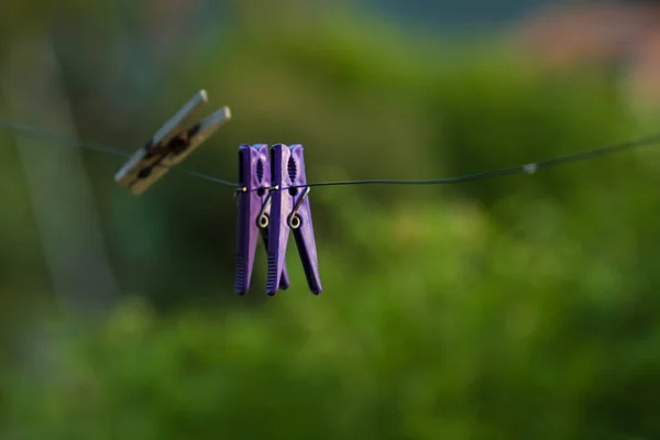 Corde sur fond vert, aux rayons du soleil couchant avec du plastique violet et des pinces à linge en bois pour le séchage du linge. Contexte . — Photo