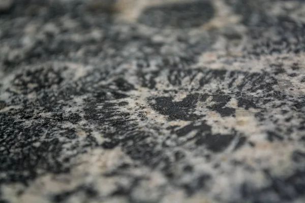 円形の斑点や汚れを持つ灰色の石からの背景またはテクスチャ 天然素材 光沢のある表面 — ストック写真