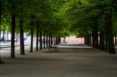 14.05.2019. Berlin, Almanya. Müze ada ve turistik rahat kare ve yeşillik ile sokak.