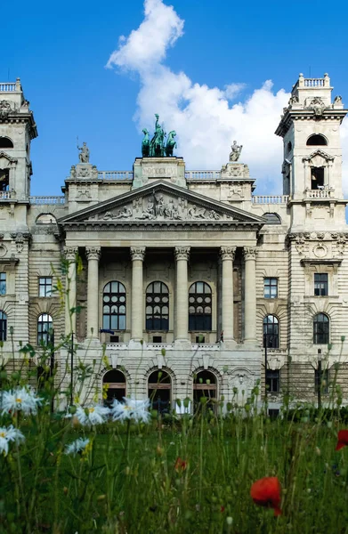2019 ハンガリー ブダペスト 歴史的な光景 ダウンタウンの議会 アーキテクチャ ポピーと緑のグレード — ストック写真