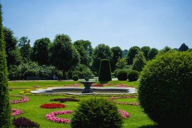 15.06.2019. Avusturya, Viyana. Bir manzara ve turistik yer Schoenbrunn park ve bahçeleri, sera ve tropikal bitkiler ile toprakları.