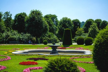15.06.2019. Avusturya, Viyana. Bir manzara ve turistik yer Schoenbrunn park ve bahçeleri, sera ve tropikal bitkiler ile toprakları.