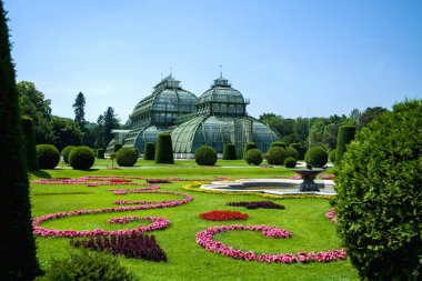 15.06.2019. Avusturya, Viyana. Bir manzara ve turistik yer Schoenbrunn park ve bahçeleri, sera ve tropikal bitkiler ile toprakları.