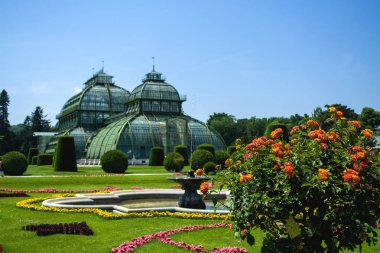 15.06.2019. Avusturya, Viyana. Bir manzara ve turistik yer Schoenbrunn park ve bahçeleri, sera ve tropikal bitkiler ile toprakları.