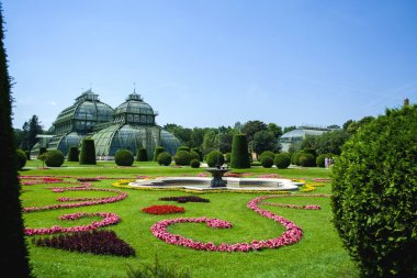 15.06.2019. Avusturya, Viyana. Bir manzara ve turistik yer Schoenbrunn park ve bahçeleri, sera ve tropikal bitkiler ile toprakları.