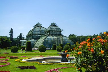 15.06.2019. Avusturya, Viyana. Bir manzara ve turistik yer Schoenbrunn park ve bahçeleri, sera ve tropikal bitkiler ile toprakları.