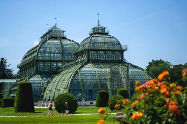 15.06.2019. Avusturya, Viyana. Bir manzara ve turistik yer Schoenbrunn park ve bahçeleri, sera ve tropikal bitkiler ile toprakları.