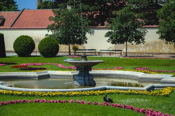 2019 Avusturya Viyana Bir Manzara Turistik Yer Schoenbrunn Park Bahçeleri — Stok fotoğraf
