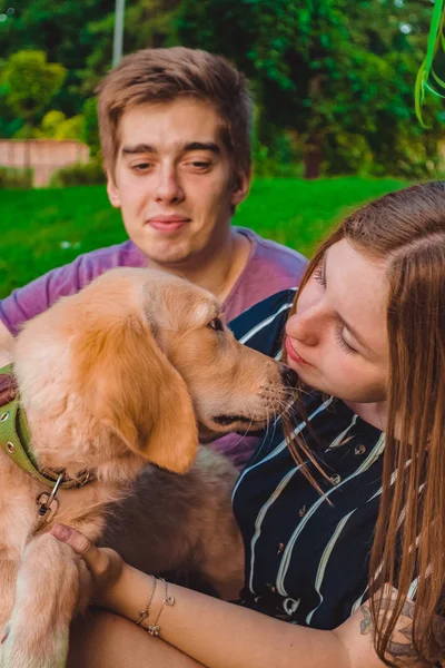 La giovane coppia amorevole sposata passeggia con il cagnolino nel parco. Recupero d'oro . — Foto Stock