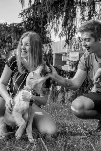 La joven pareja de enamorados casados pasea con el perrito en el parque. Golden retriever . —  Fotos de Stock