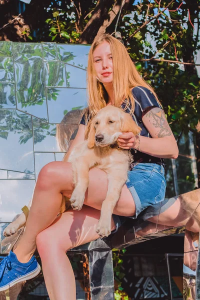 La joven camina con el perrito en el parque. Golden retriever . —  Fotos de Stock