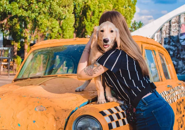 La joven camina con el perrito en el parque. Golden retriever . —  Fotos de Stock