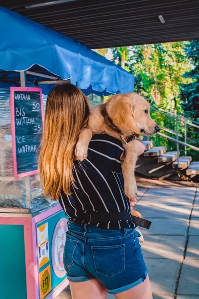 La joven camina con el perrito en el parque. Golden retriever . —  Fotos de Stock