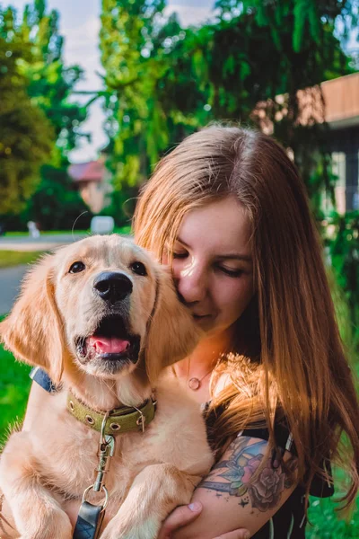 La joven camina con el perrito en el parque. Golden retriever . —  Fotos de Stock