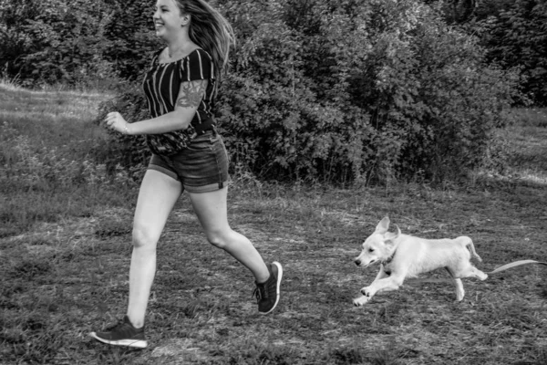 La joven camina con el perrito en el parque. Golden retriever . —  Fotos de Stock