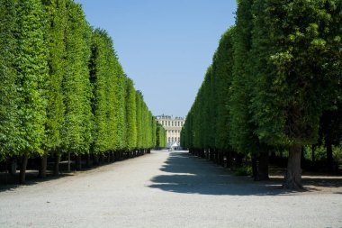 Yeşil ve yaz aylarında parkta bir dekor arasında güzel ve geniş patikalar. Bahçe. Ahşap.