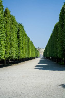 Yeşil ve yaz aylarında parkta bir dekor arasında güzel ve geniş patikalar. Bahçe. Ahşap.
