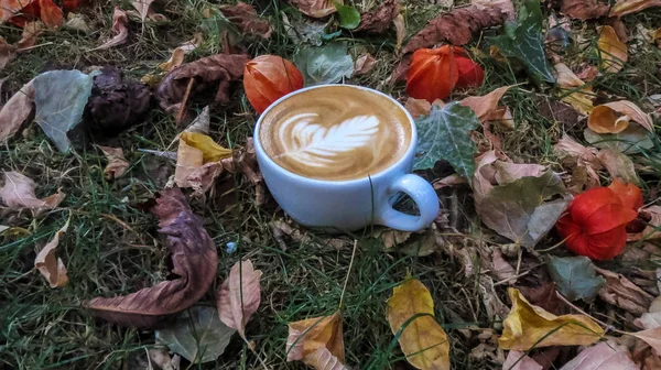Weiße Keramiktasse Cappuccino Mit Latte Art Inmitten Von Gras Und — Stockfoto