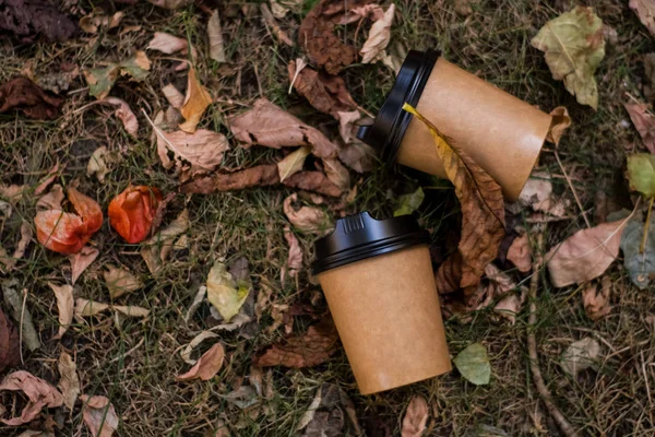 Onder Geelachtige Herfst Blaadjes Liggen Kraft Papier Eco Vriendelijke Kopjes — Stockfoto