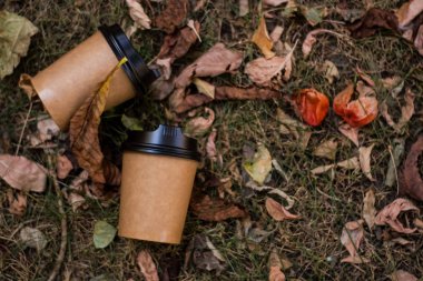 Sarımsı sonbahar yaprakları arasında gitmek için kahve için kraft, kağıt, çevre dostu fincanlar yalan. Sabah içkisi.