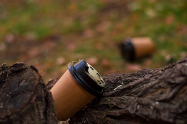 Kağıt, kahverengi, tek tonlu ve tek kullanımlık çevre dostu kahve fincanı sonbahar yaprakları ve ağaç kabuğu arasında gitmek.