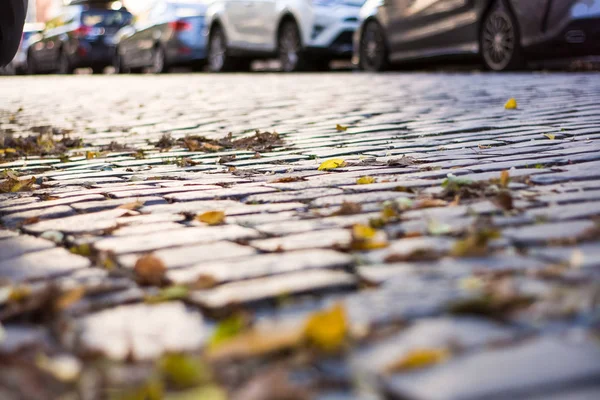 Hintergrund Oder Textur Eines Alten Pflastersteins Mit Vergilbtem Herbst Abgefallenem — Stockfoto