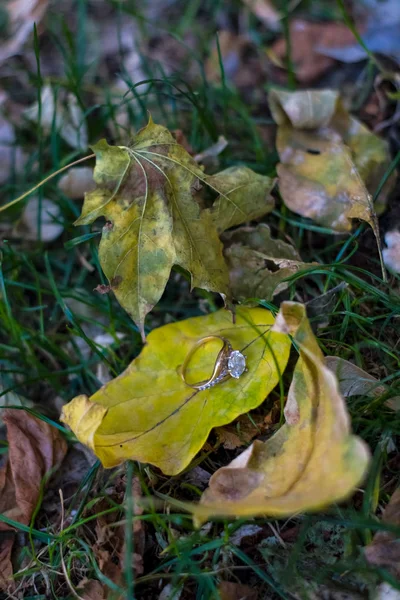 2019 Kiev Het Gras Met Herfstbladeren Ligt Een Gouden Verlovingsring — Stockfoto