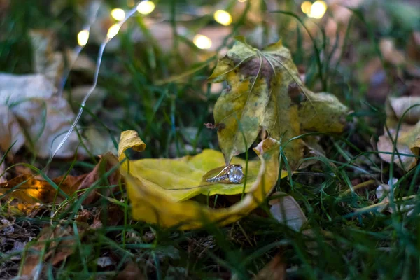 2019年10月2日 秋天的叶子躺在草地上 黄色的手电筒中间有一个金色的订婚戒指 — 图库照片